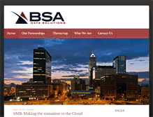 Tablet Screenshot of bsadata.com
